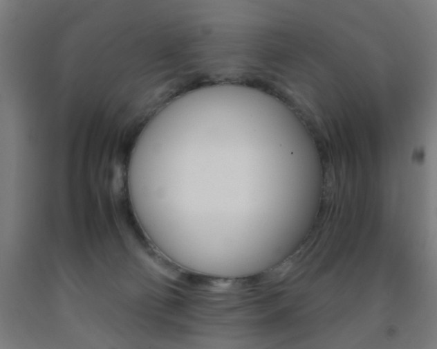 X0000093240130200709261538
