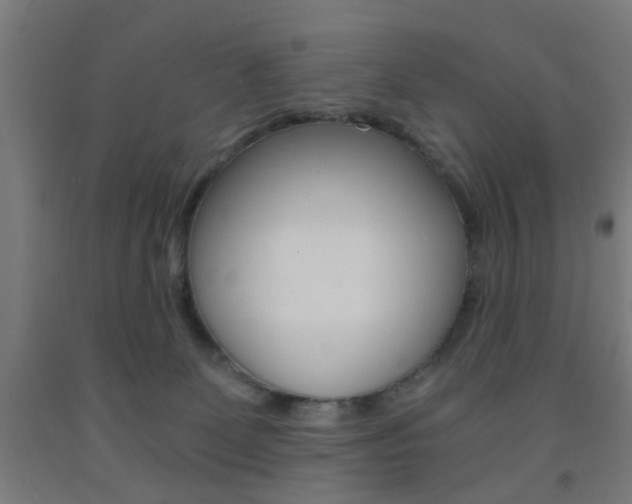 X0000093240131200709261538