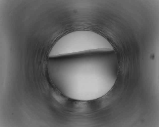 X0000093240132200709261538