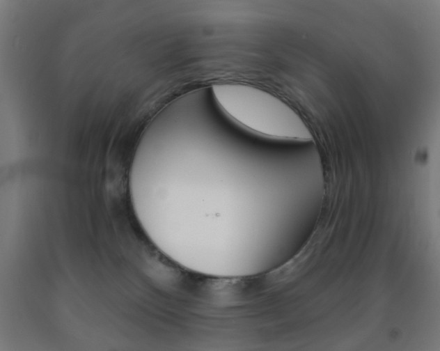 X0000093240136200709261538