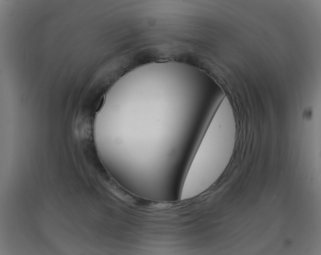 X0000093240137200709261538