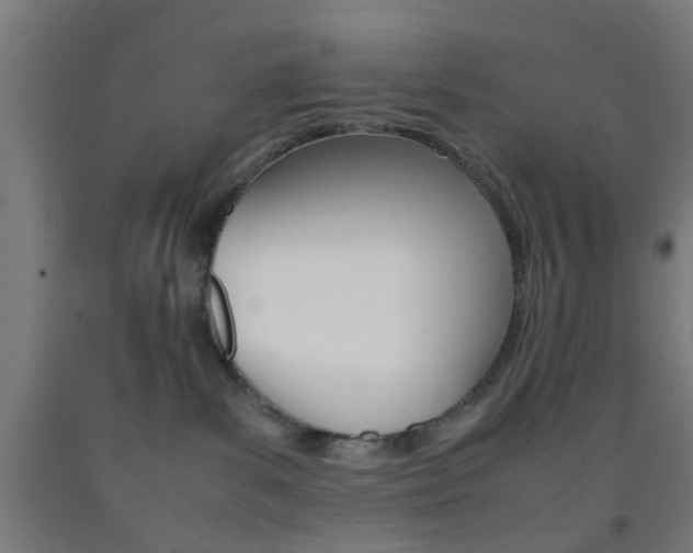 X0000093240139200709261538