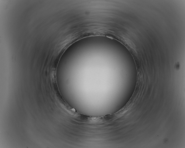 X0000093240141200709261538