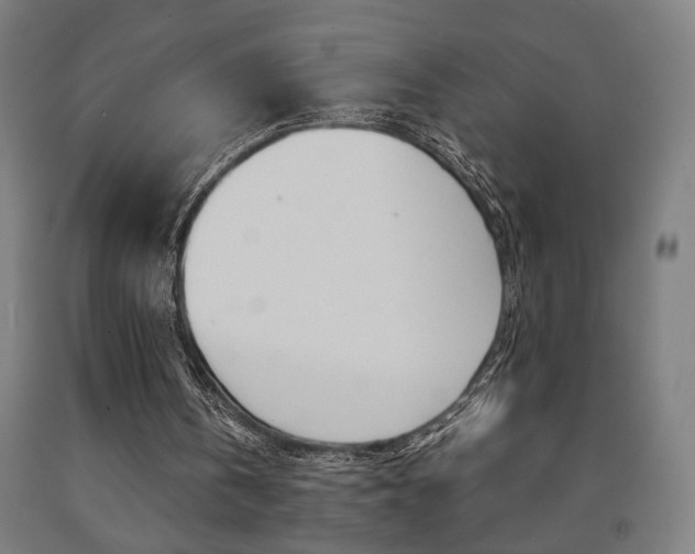 X0000093240146200709261537