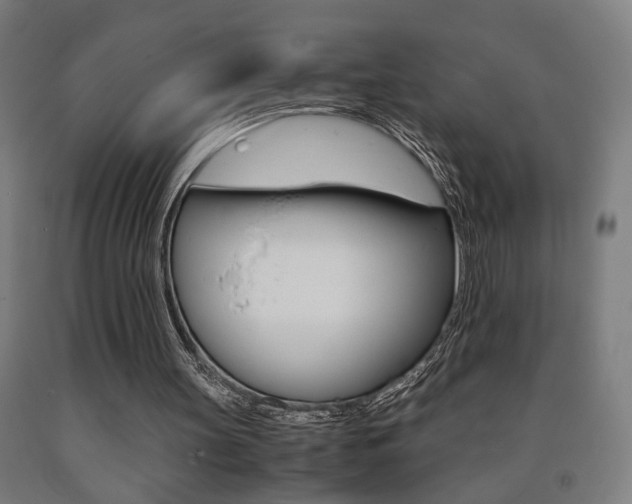 X0000093240147200709261537