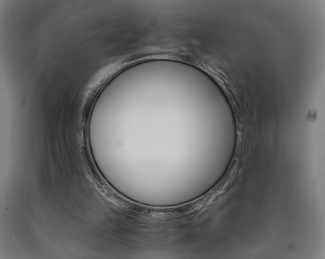 X0000093240149200709261537