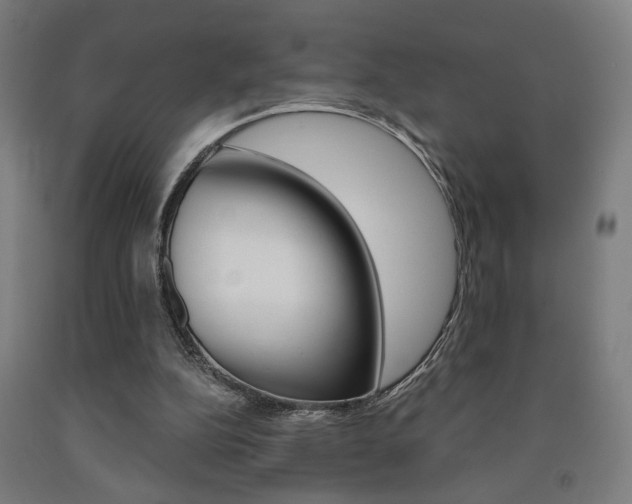 X0000093240152200709261537