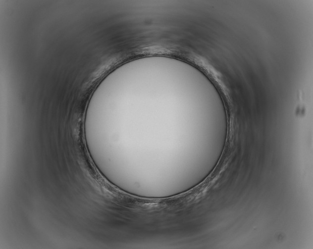 X0000093240153200709261537