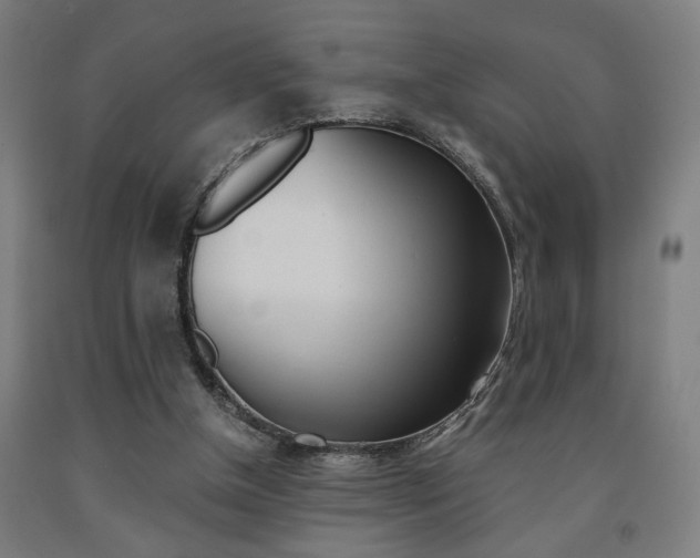 X0000093240154200709261537