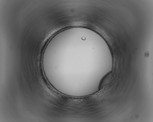 X0000093240155200709261537
