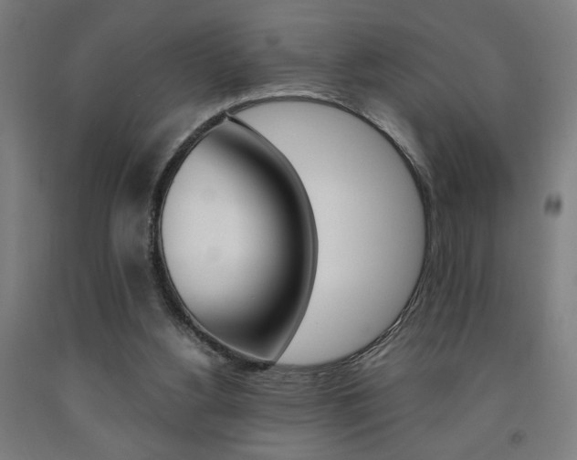X0000093240156200709261537