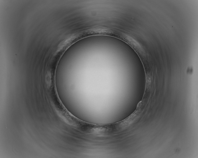 X0000093240158200709261537