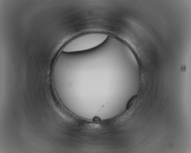 X0000093240159200709261537