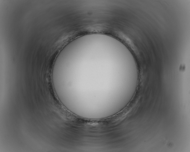 X0000093240161200709261537
