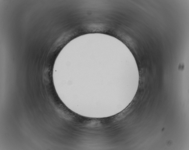 X0000093240162200709261537