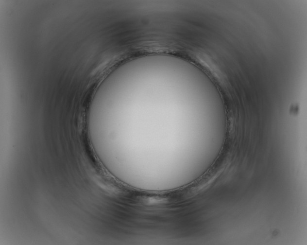 X0000093240165200709261537