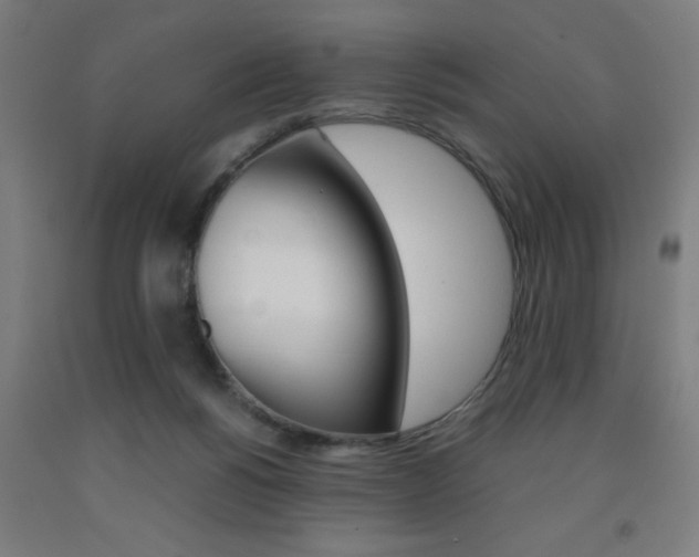 X0000093240168200709261537