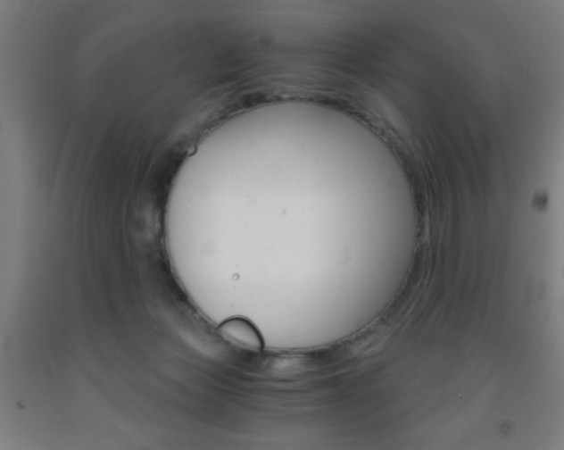 X0000093240173200709261538