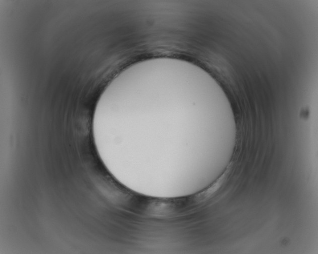 X0000093240174200709261538