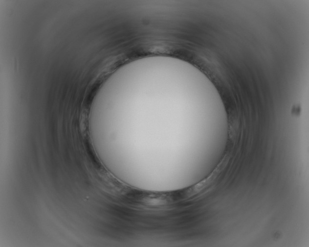 X0000093240175200709261538