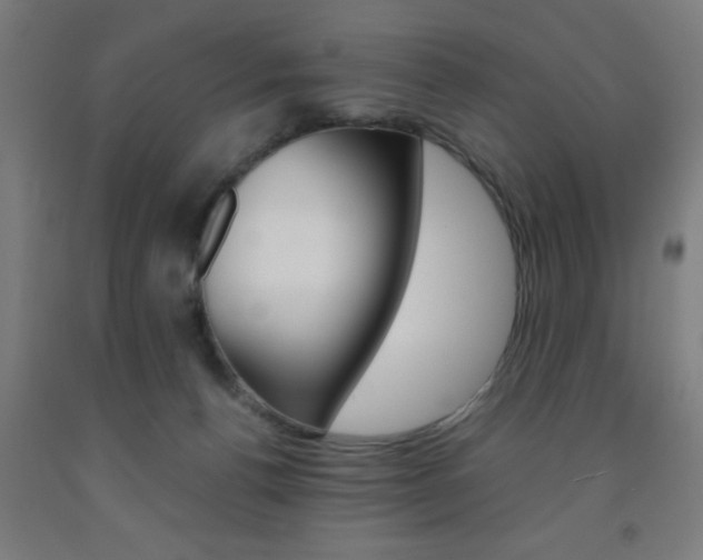 X0000093240176200709261538