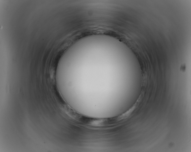 X0000093240178200709261538