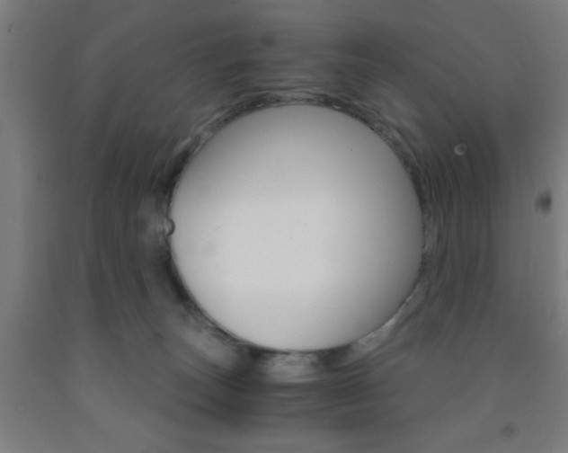 X0000093240179200709261538