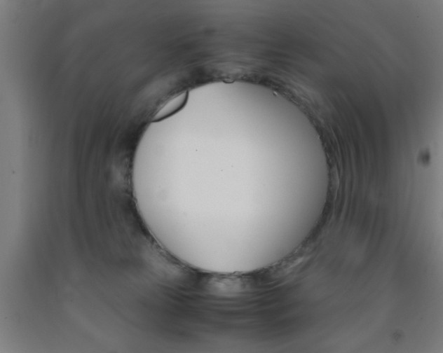 X0000093240181200709261538