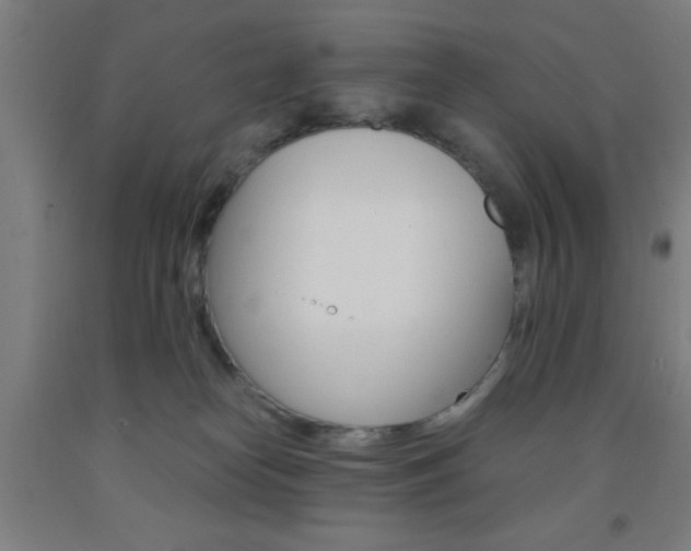 X0000093240182200709261538
