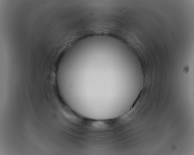 X0000093240183200709261538