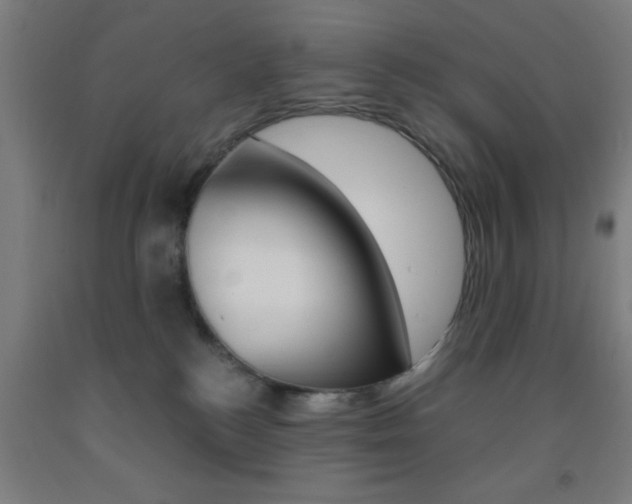 X0000093240184200709261538