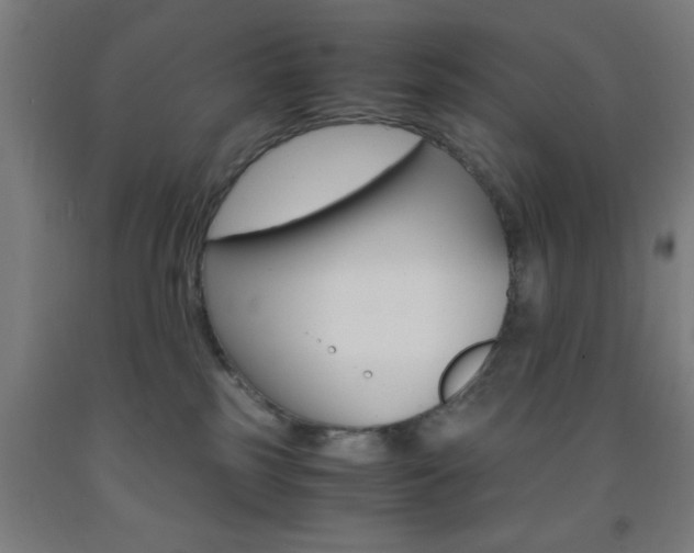 X0000093240185200709261538