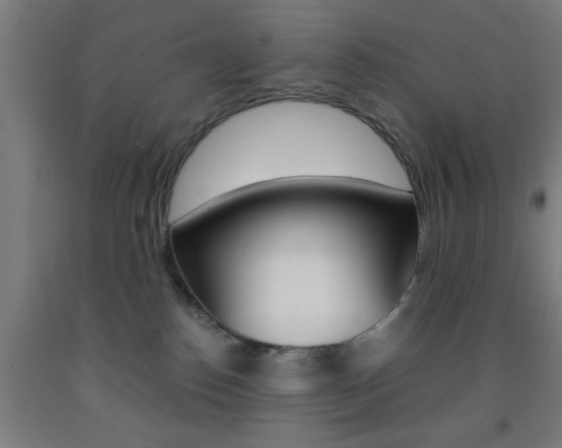 X0000093240186200709261538
