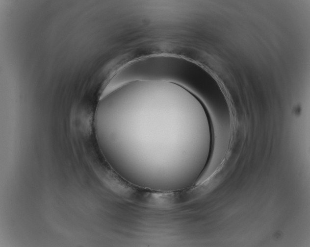 X0000093240188200709261538