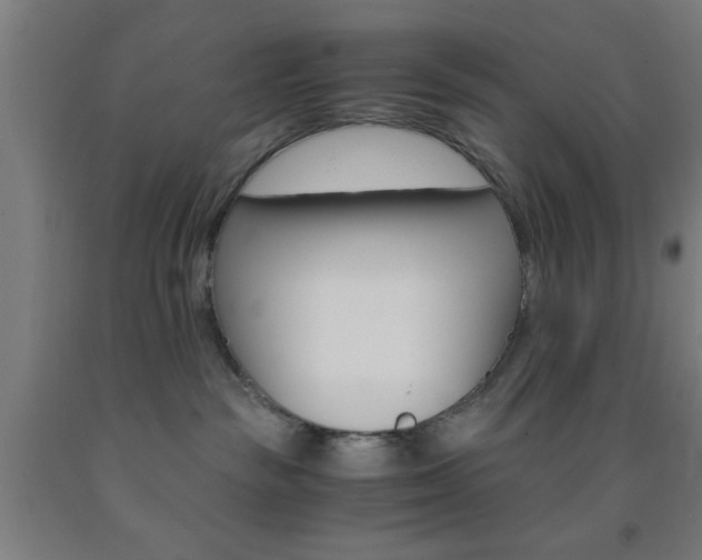 X0000093240189200709261538