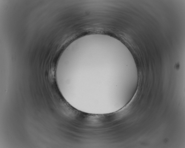 X0000093240190200709261538