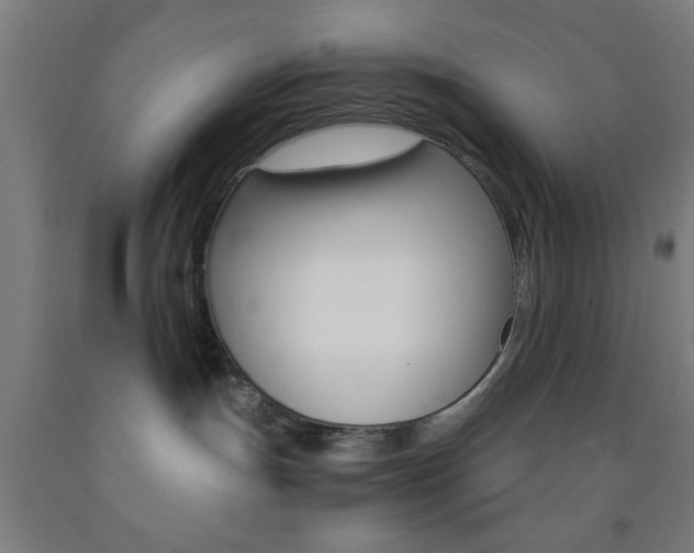 X0000093240191200709261538