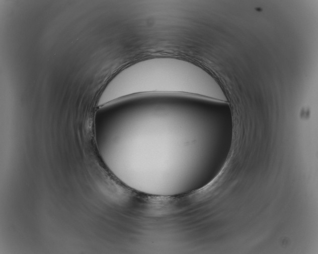 X0000093240192200709261538