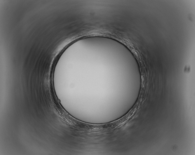 X0000093240196200709261537