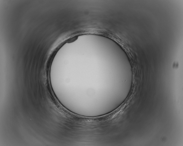 X0000093240198200709261537