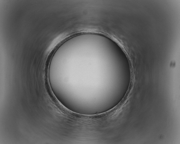 X0000093240199200709261537
