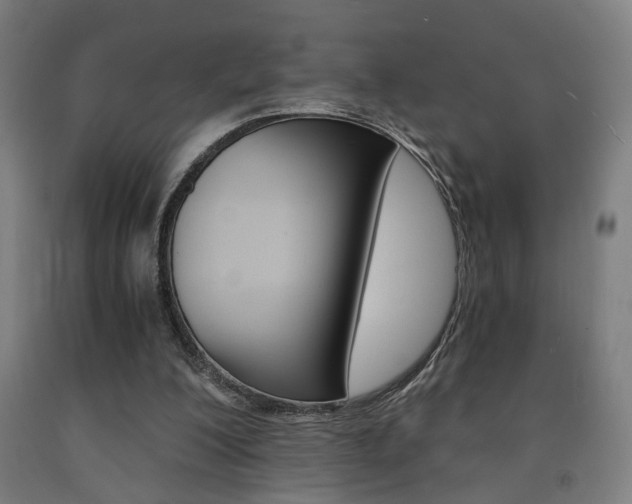 X0000093240200200709261537
