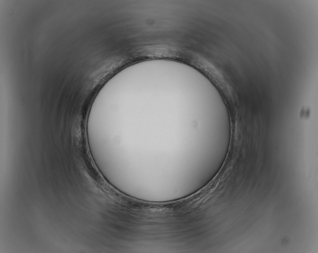 X0000093240202200709261537