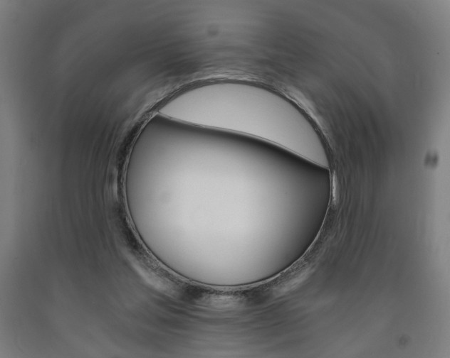 X0000093240205200709261537
