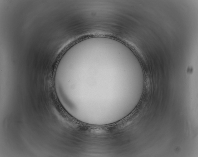 X0000093240208200709261537