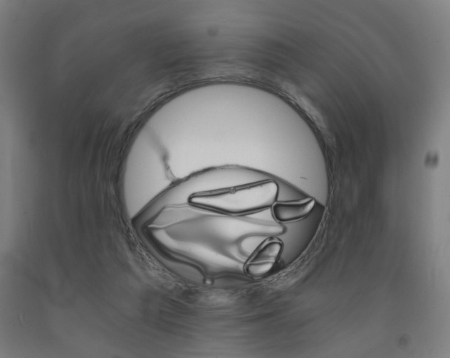 X0000093240209200709261537