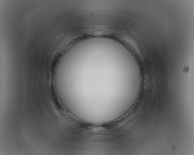 X0000093240210200709261537