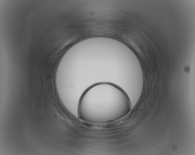 X0000093240211200709261537