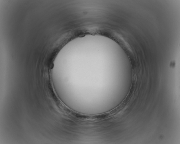 X0000093240213200709261537