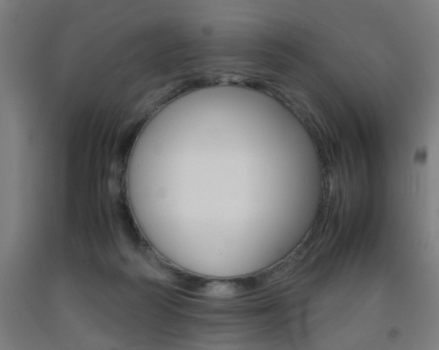 X0000093240218200709261537